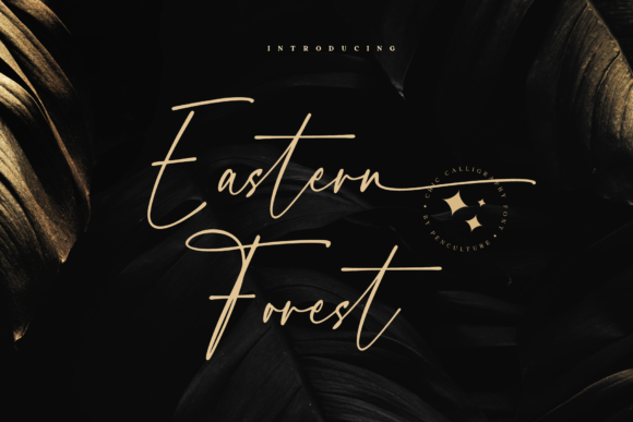 Eastern Forest: A Modern Script Font for Creative Branding