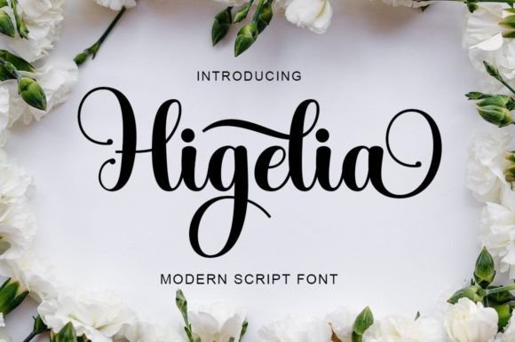 How Higelia Helped My Bakery Look More Professional