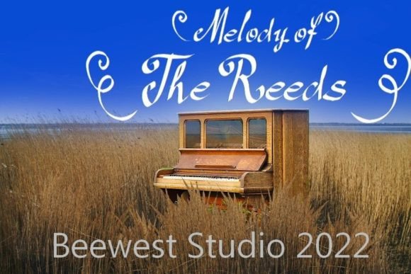 Reeds: The Font That Adds Soul to Your Campaigns